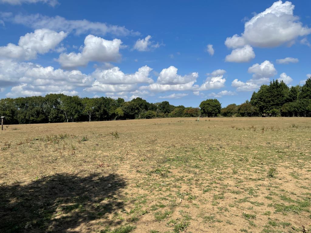 Lot: 68 - APPROXIMATELY THREE AND A HALF ACRES OF LAND WITH STABLES - 